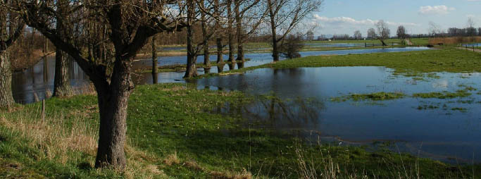 Sliwka Landschaftsplanung – Hochwasserschutz & Wasserrückhaltung